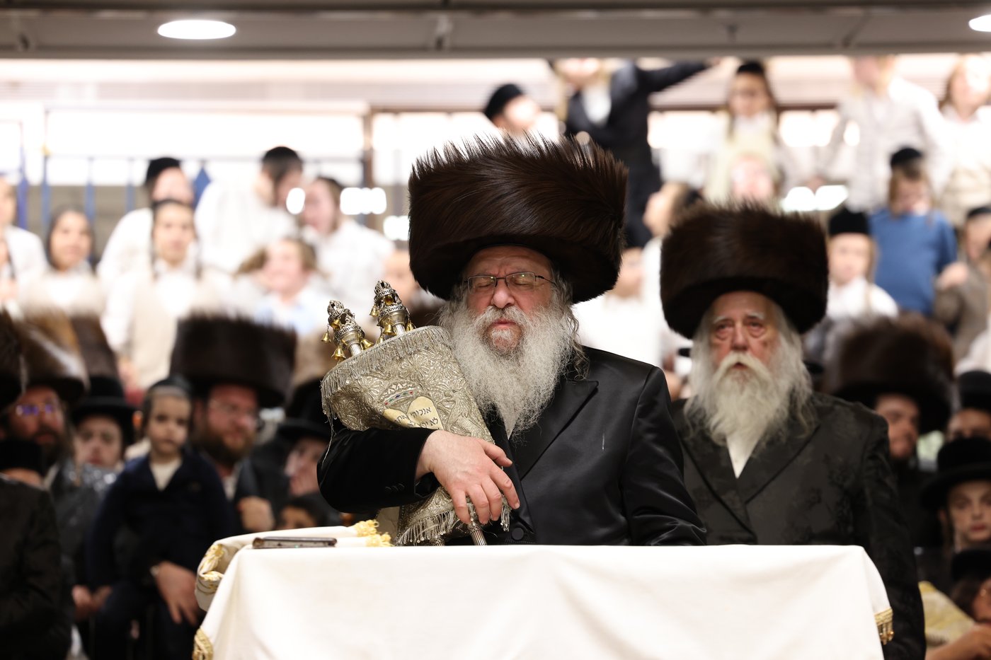 ירח האיתנים בחצר הקודש נדבורנה | צילום: שוקי לרר, אברומי בערגער, מ.ש.
