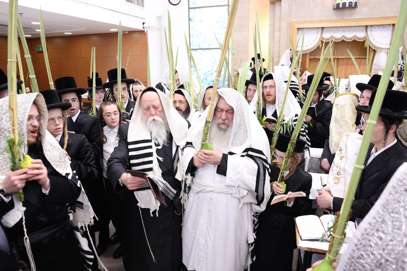 ירח האיתנים בחצר הקודש נדבורנה | צילום: שוקי לרר, אברומי בערגער, מ.ש.