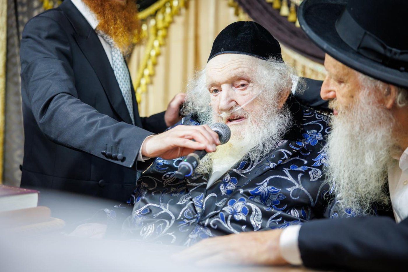 הגאון רבי משה שטרנבוך שליט"א בקבלת קהל בסוכתו | צילום: דניאל נפוסי