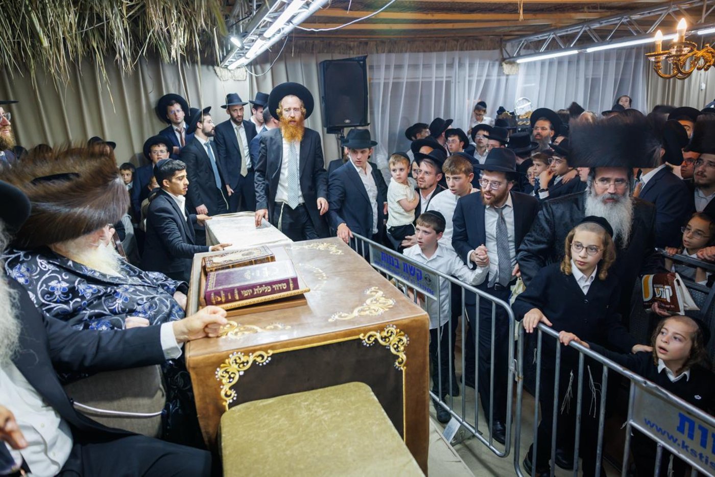 הגאון רבי משה שטרנבוך שליט"א בקבלת קהל בסוכתו | צילום: דניאל נפוסי