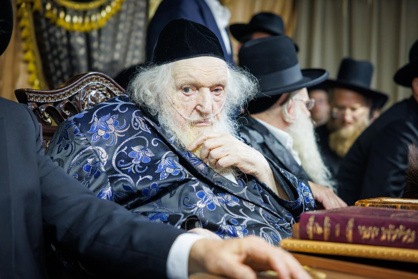 הגאון רבי משה שטרנבוך שליט"א בקבלת קהל בסוכתו | צילום: דניאל נפוסי