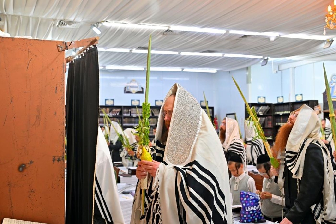 ימי החג בחצר ספינקא בית שמש