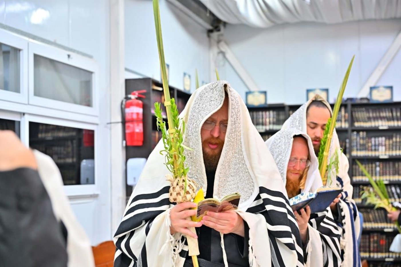 ימי החג בחצר ספינקא בית שמש