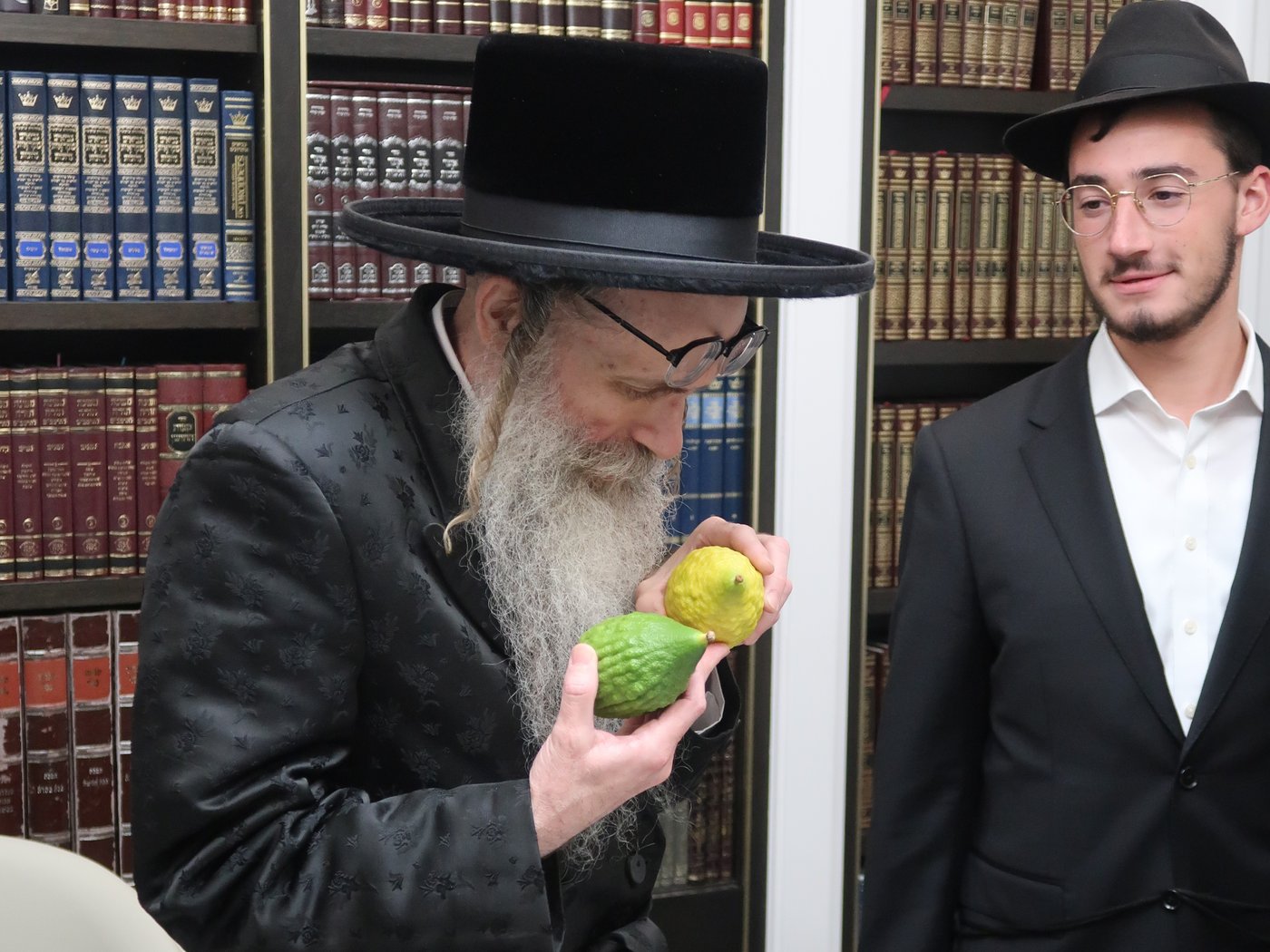 ימי החג בחצר הקודש צאנז זוועהיל