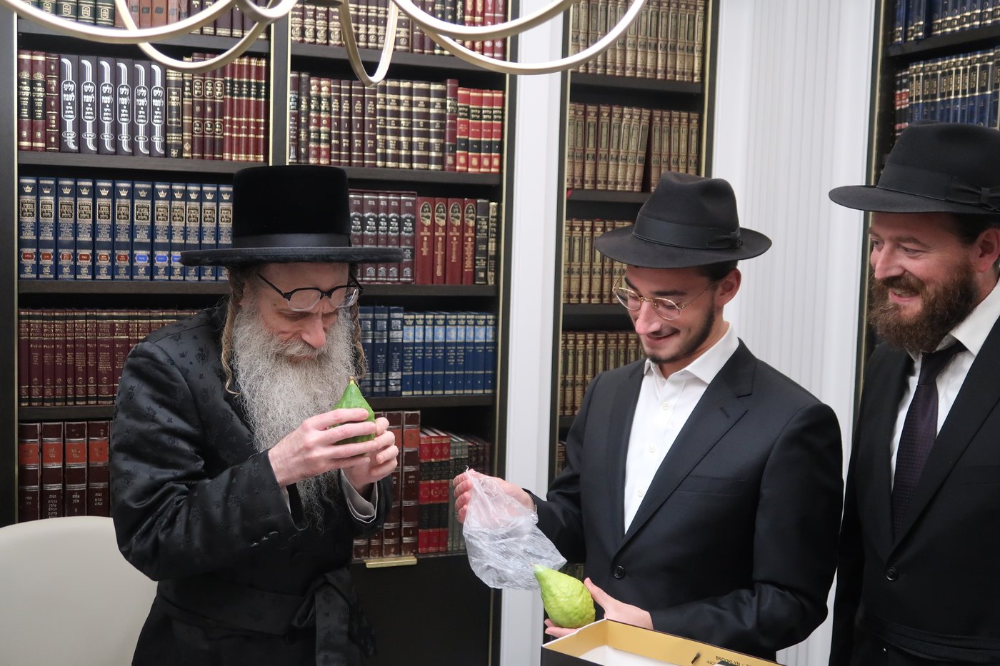 ימי החג בחצר הקודש צאנז זוועהיל