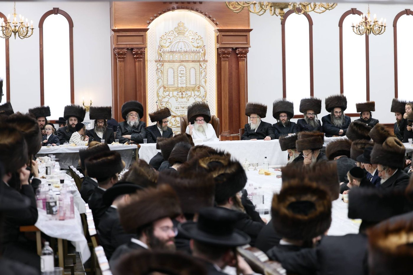 חג הסוכות בחצר תולדות צבי דספינקא | צילום: שלמה ב.