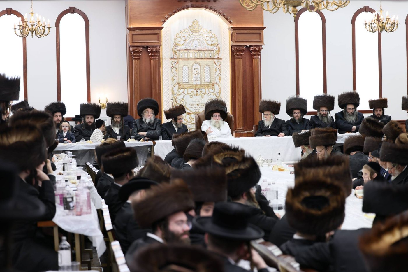 חג הסוכות בחצר תולדות צבי דספינקא | צילום: שלמה ב.