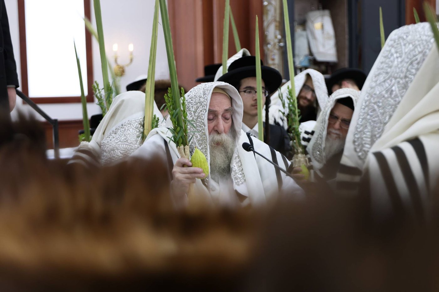 חג הסוכות בחצר תולדות צבי דספינקא | צילום: שלמה ב.