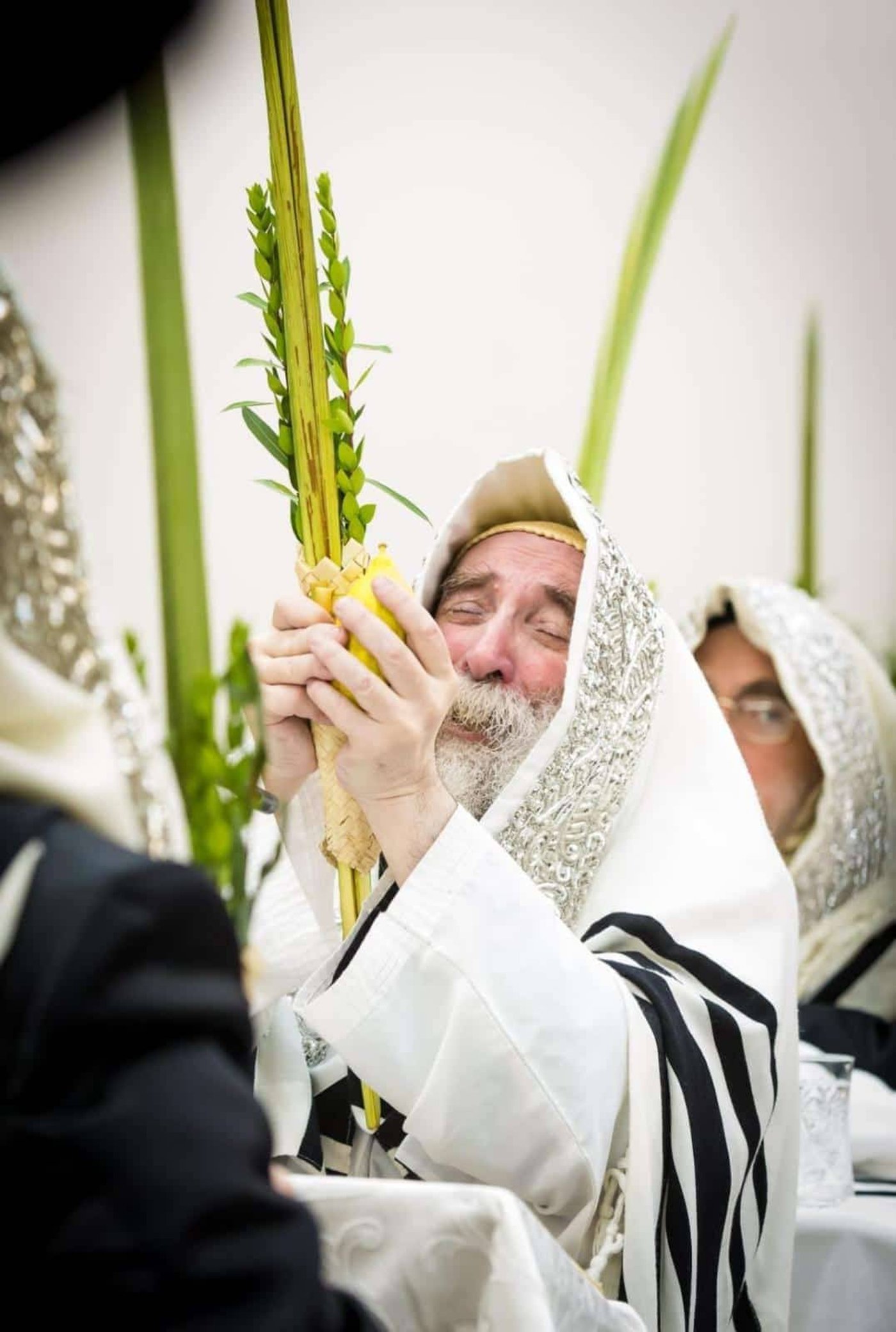 חג הסוכות בחצר תולדות צבי דספינקא | צילום: שלמה ב.