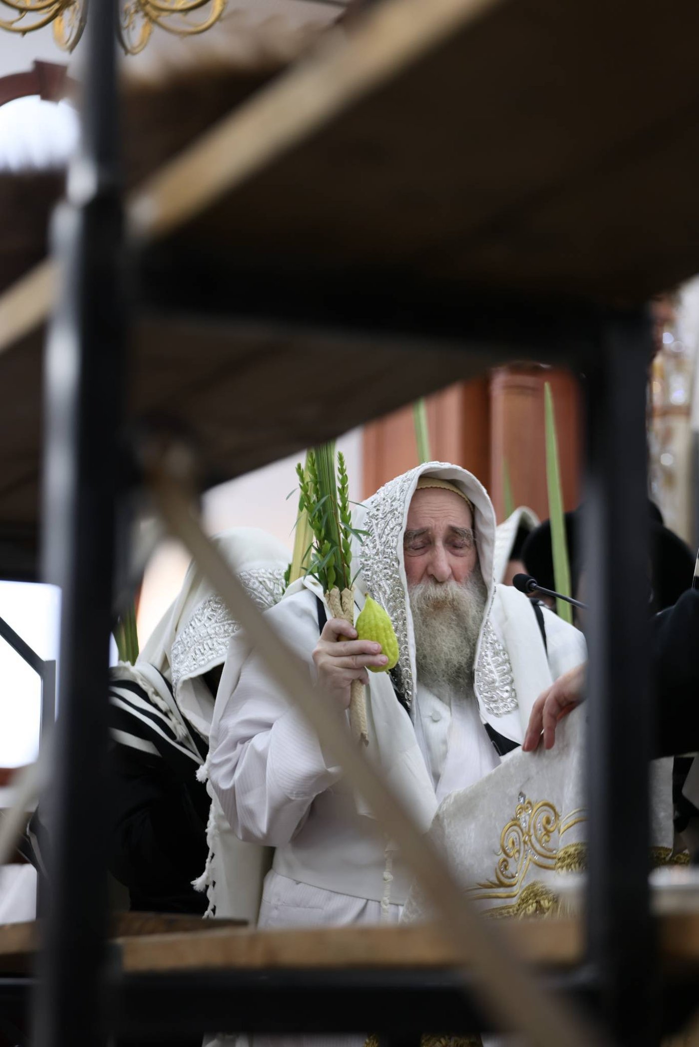 חג הסוכות בחצר תולדות צבי דספינקא | צילום: שלמה ב.