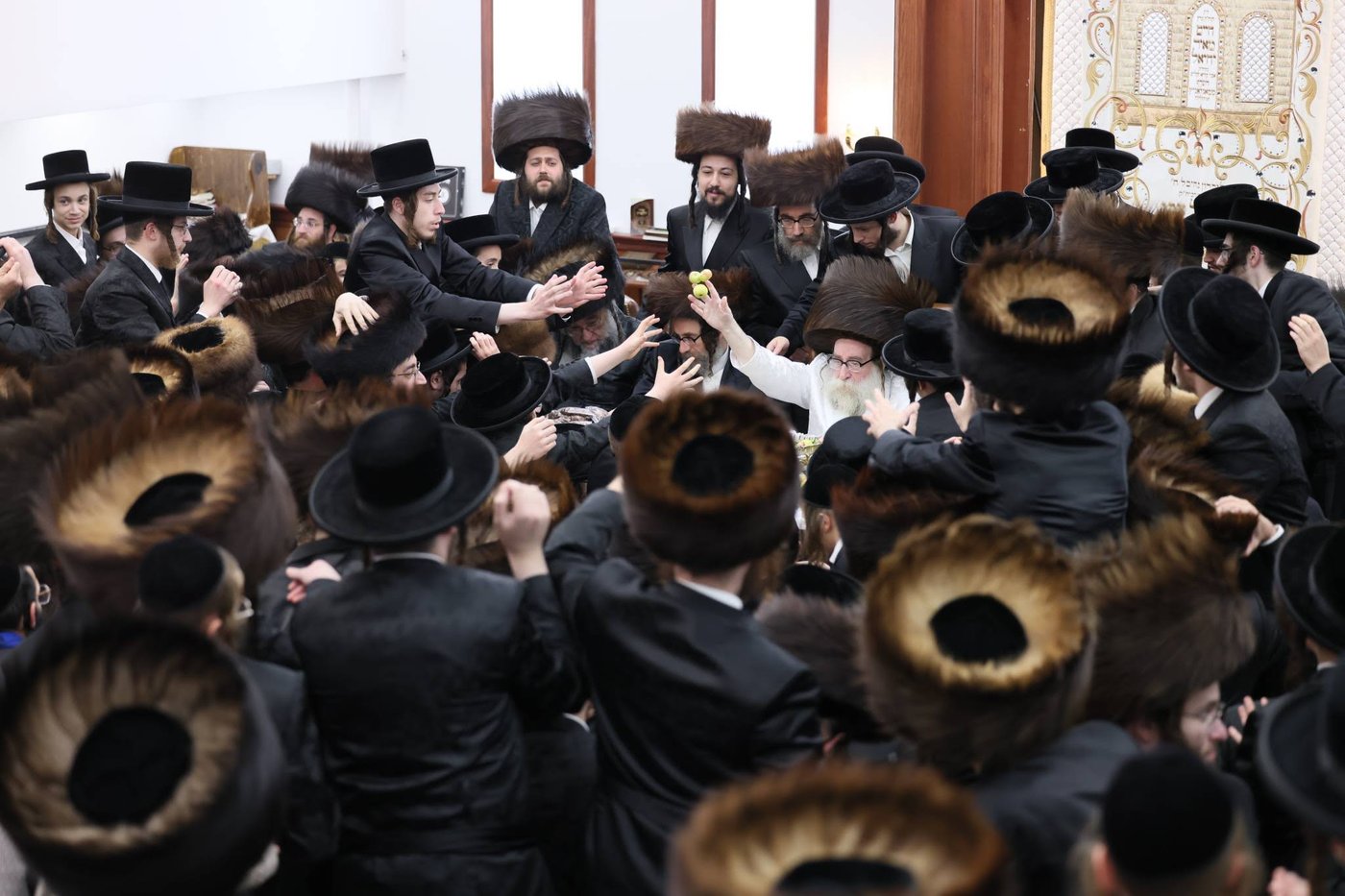 חג הסוכות בחצר תולדות צבי דספינקא | צילום: שלמה ב.