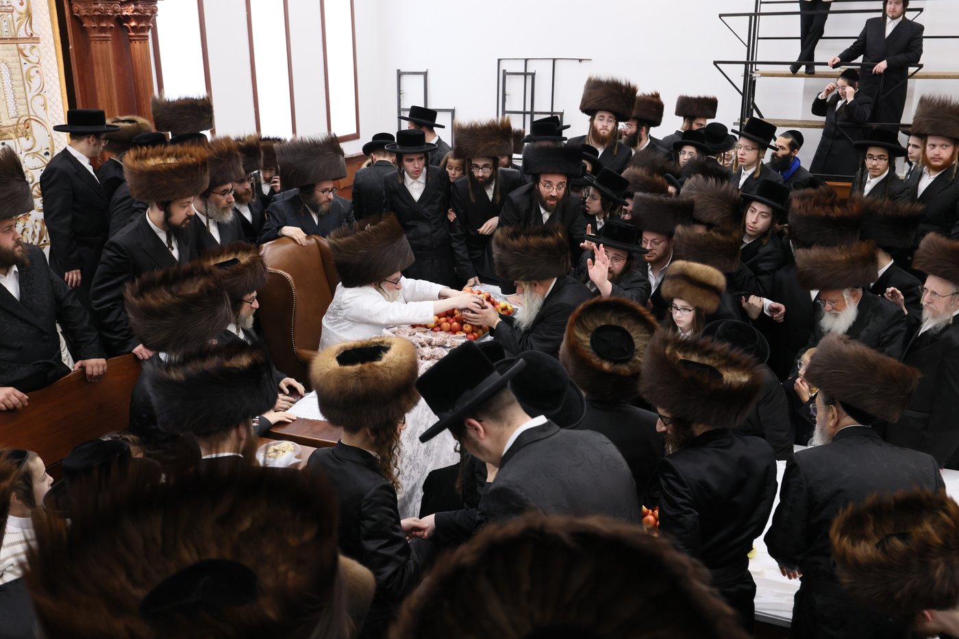 חג הסוכות בחצר תולדות צבי דספינקא | צילום: שלמה ב.