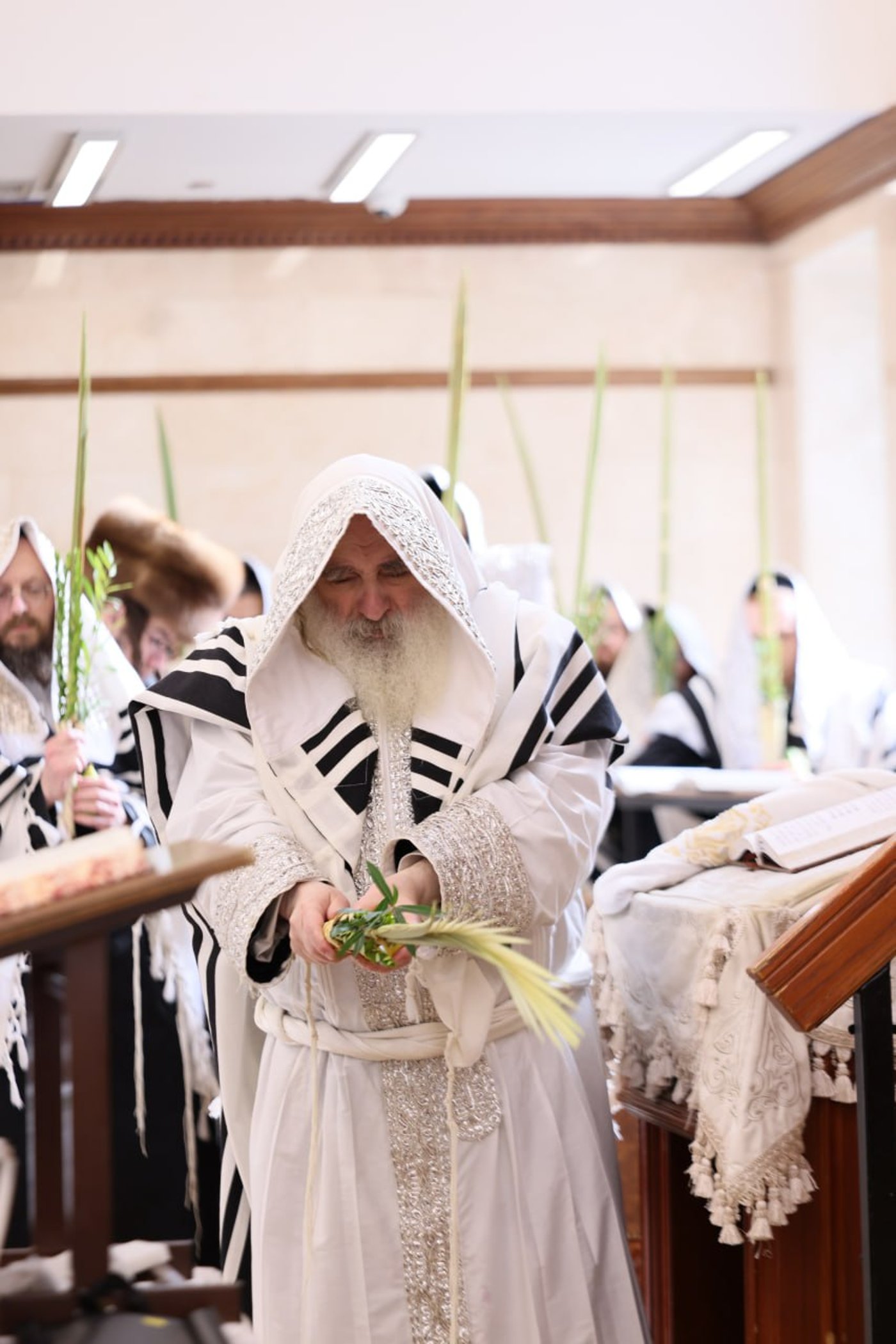 ימי החג בחצר קראלי • צילום: באדיבות המצלם