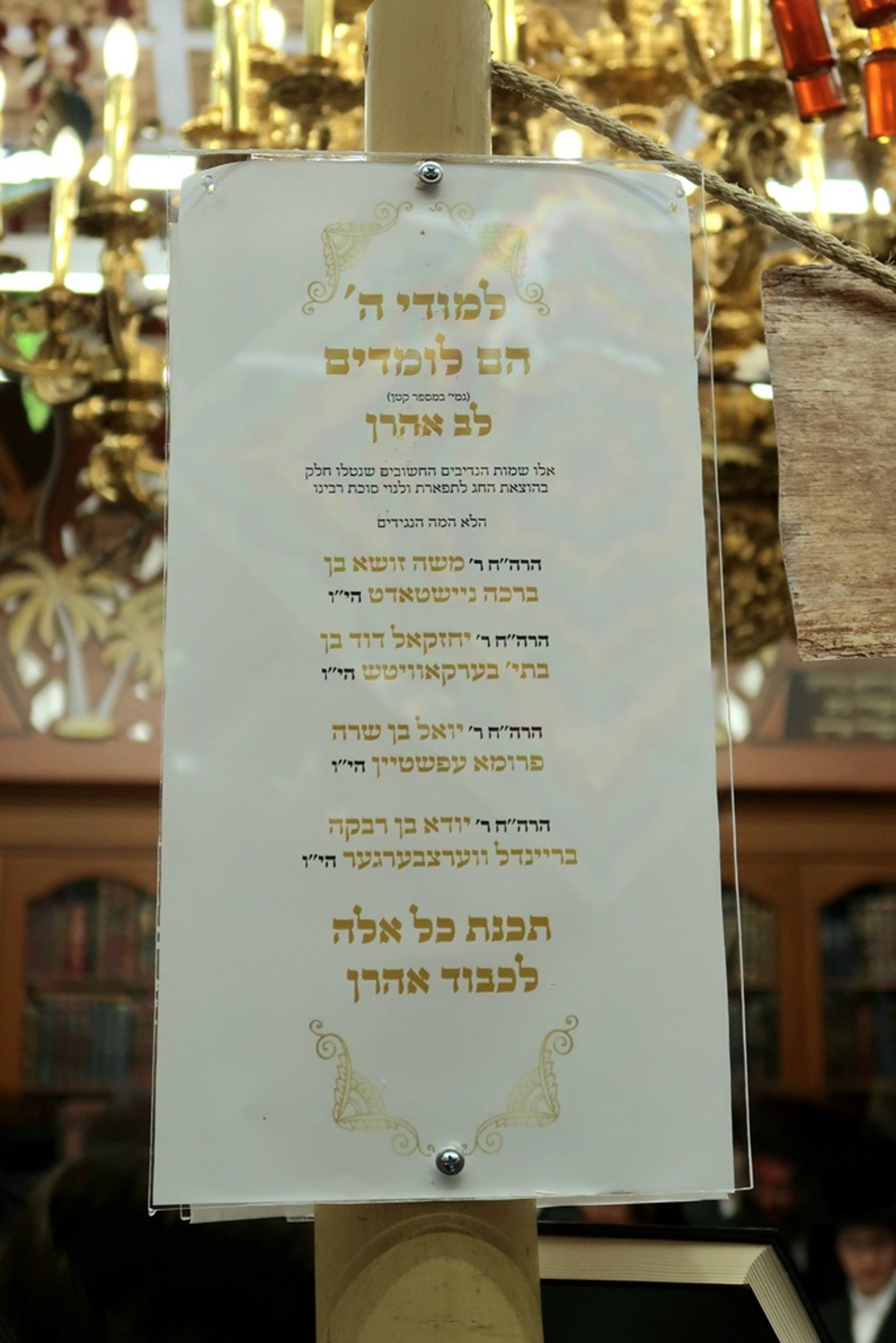 האדמו"ר מסאטמר שליט"א מסכך את סוכתו | צילום: בחצרות סאטמאר