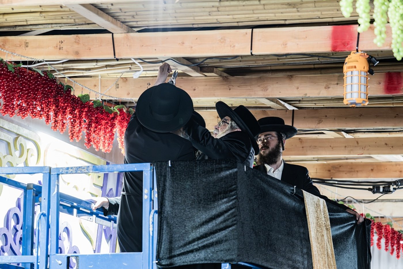 האדמו"ר מסאטמר שליט"א מסכך את סוכתו | צילום: בחצרות סאטמאר