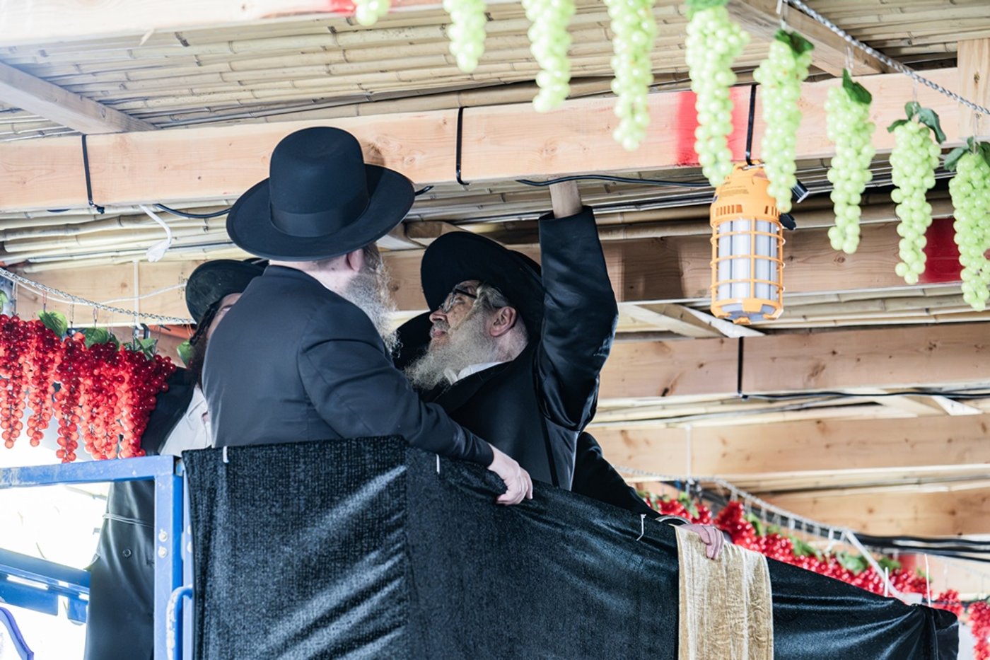 האדמו"ר מסאטמר שליט"א מסכך את סוכתו | צילום: בחצרות סאטמאר