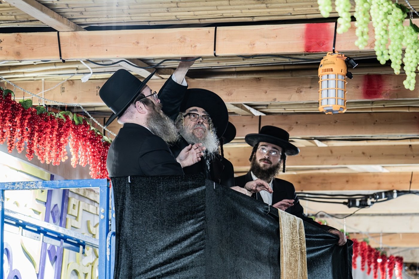 האדמו"ר מסאטמר שליט"א מסכך את סוכתו | צילום: בחצרות סאטמאר