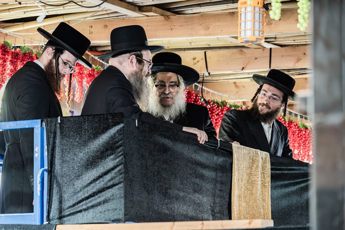 האדמו"ר מסאטמר שליט"א מסכך את סוכתו | צילום: בחצרות סאטמאר