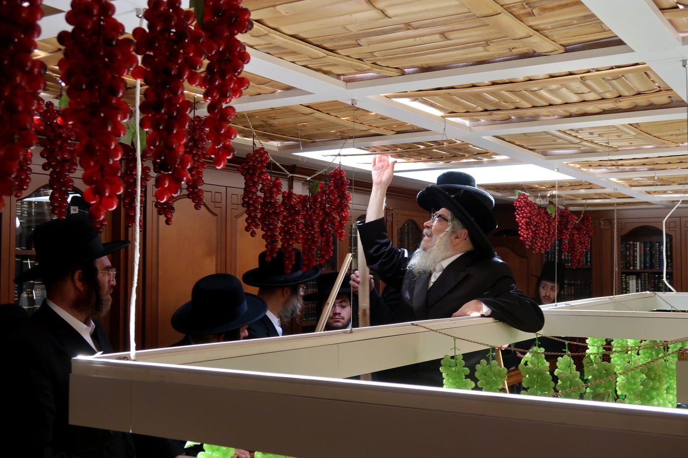 האדמו"ר מסאטמר שליט"א מסכך את סוכתו | צילום: בחצרות סאטמאר