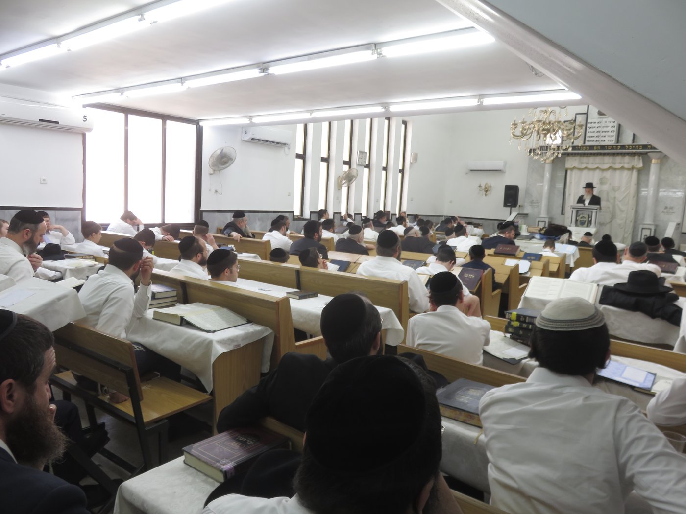 הגאון רבי שריאל רוזנברג שליט"א בשיעור בחול המועד | צילום: א.כ.