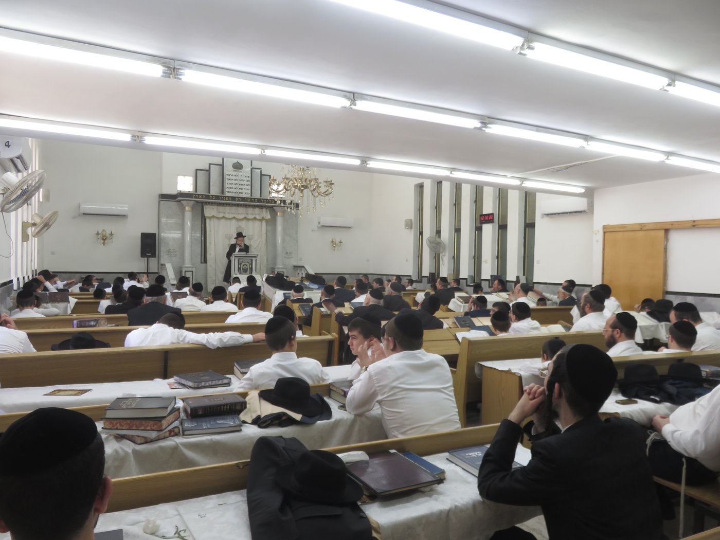 הגאון רבי שריאל רוזנברג שליט"א בשיעור בחול המועד | צילום: א.כ.