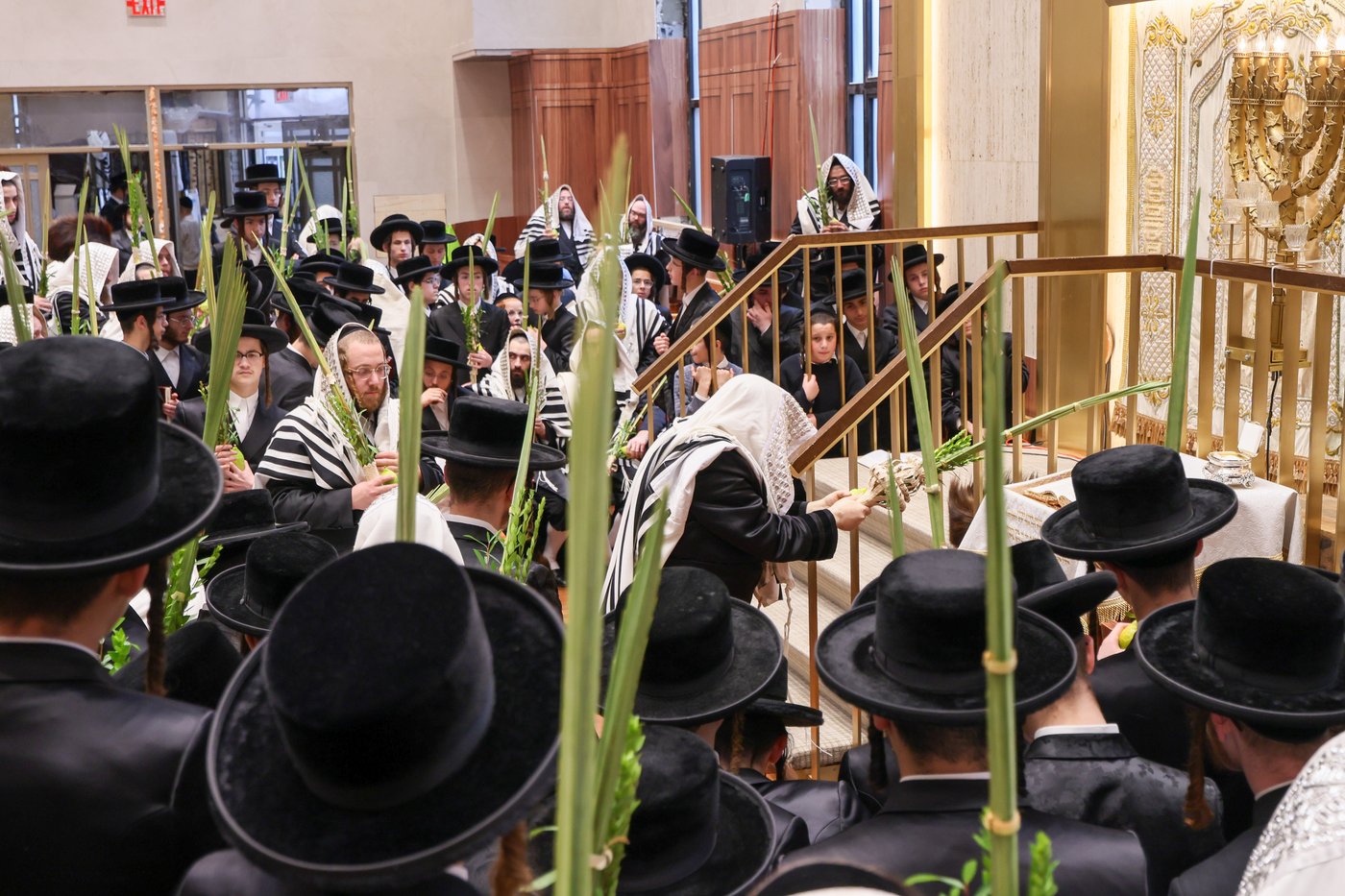 ימי החג בחצר סאטמר