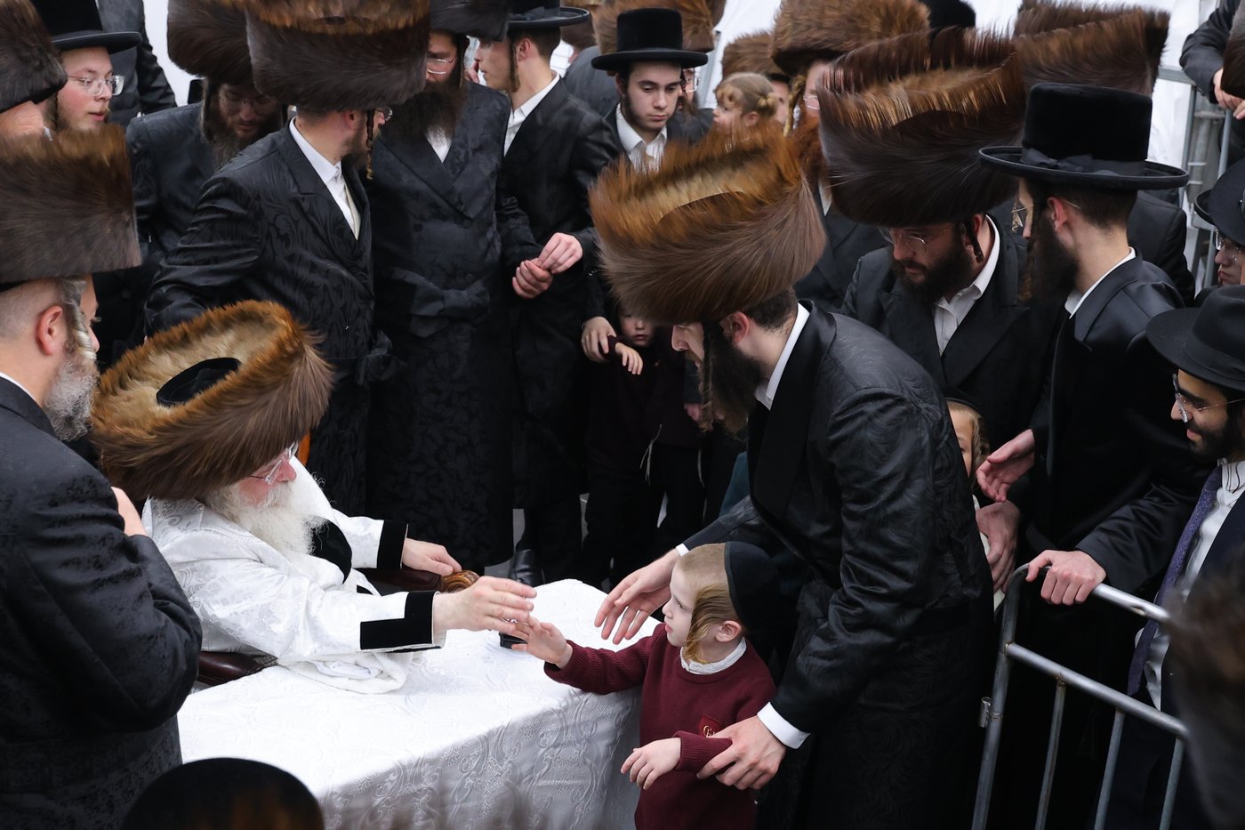 ירח האיתנים בחצר הקודש נדבורנה ירושלים | צילום: שימי פ.