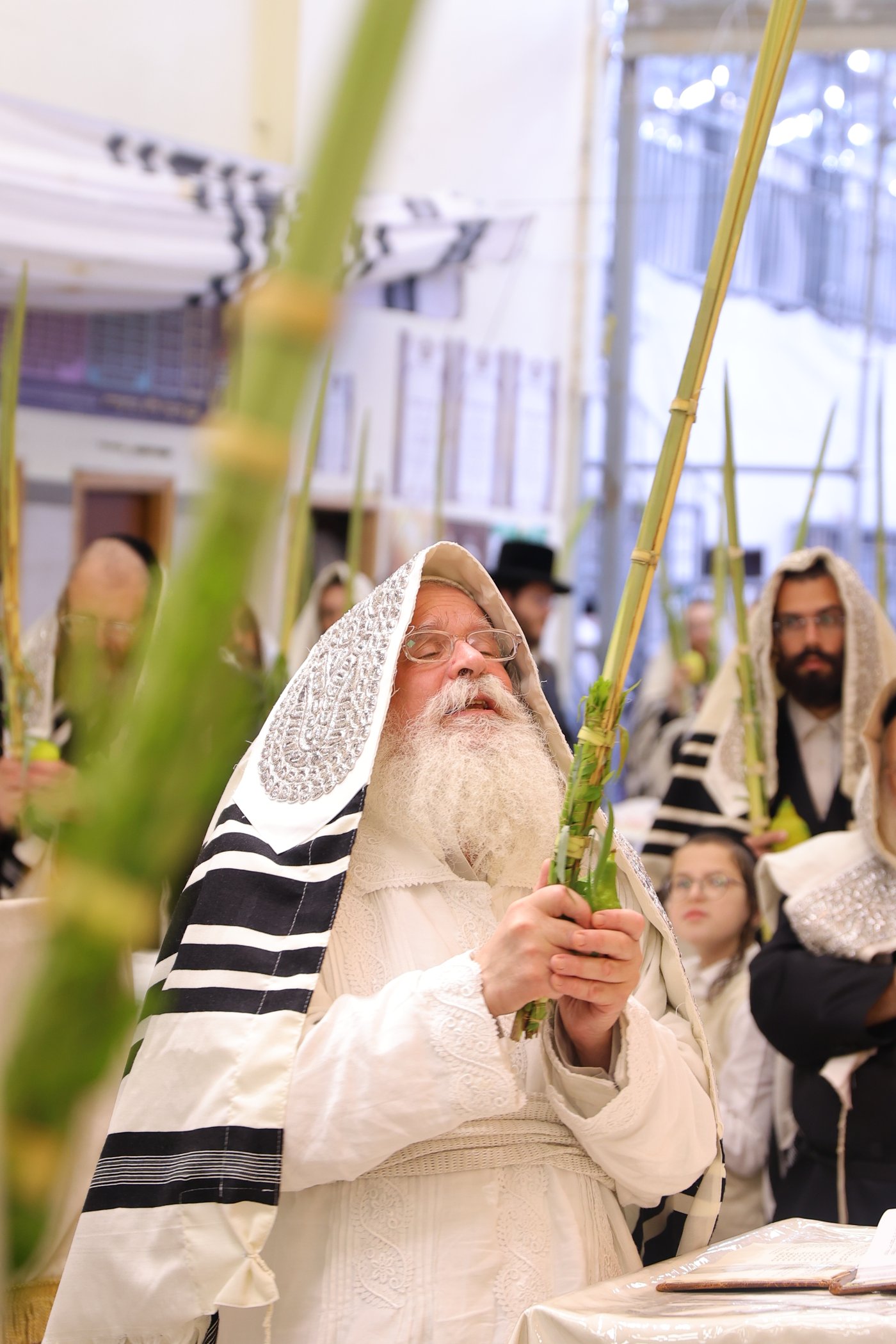 ירח האיתנים בחצר הקודש נדבורנה ירושלים | צילום: שימי פ.