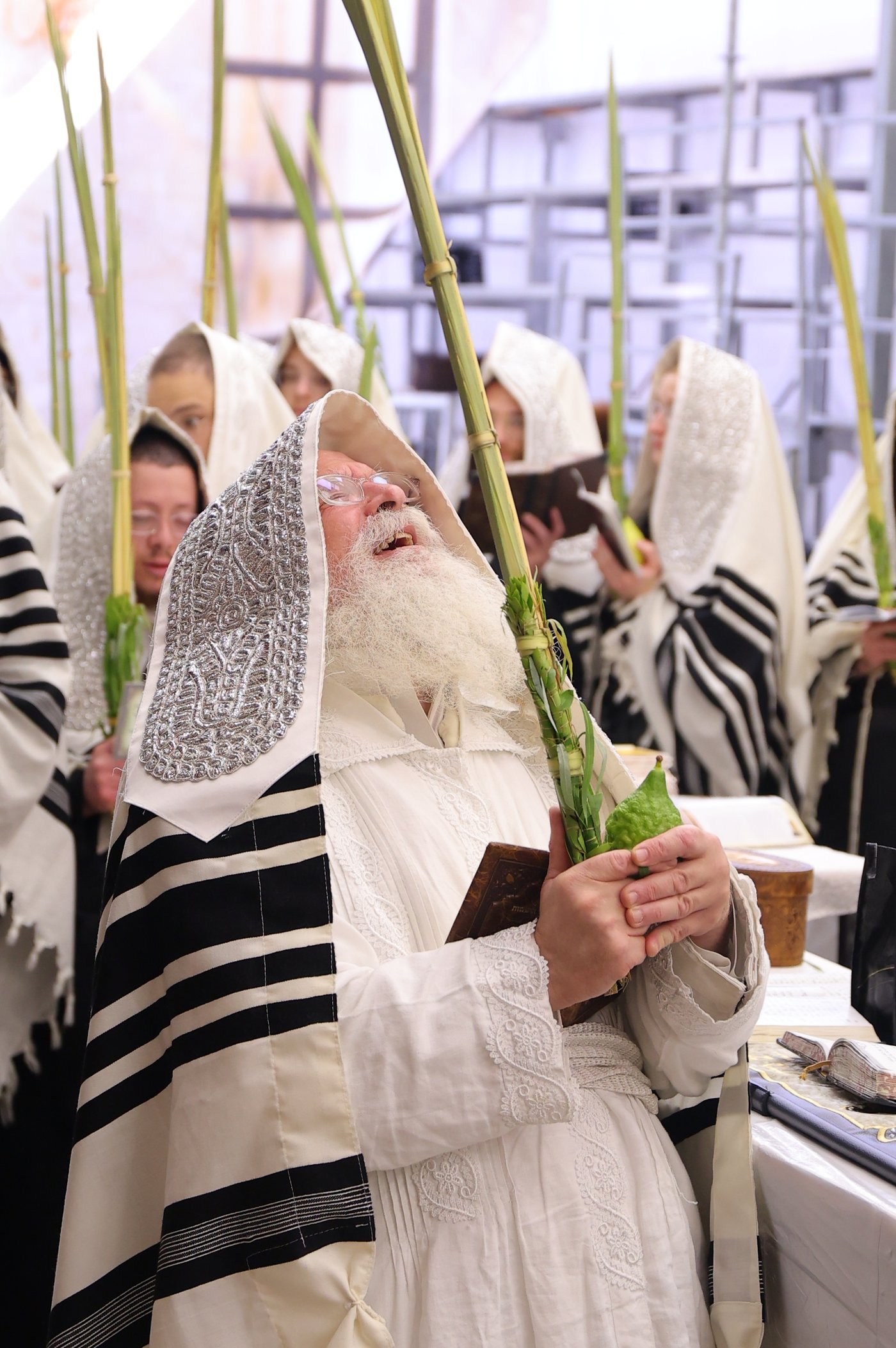 ירח האיתנים בחצר הקודש נדבורנה ירושלים | צילום: שימי פ.