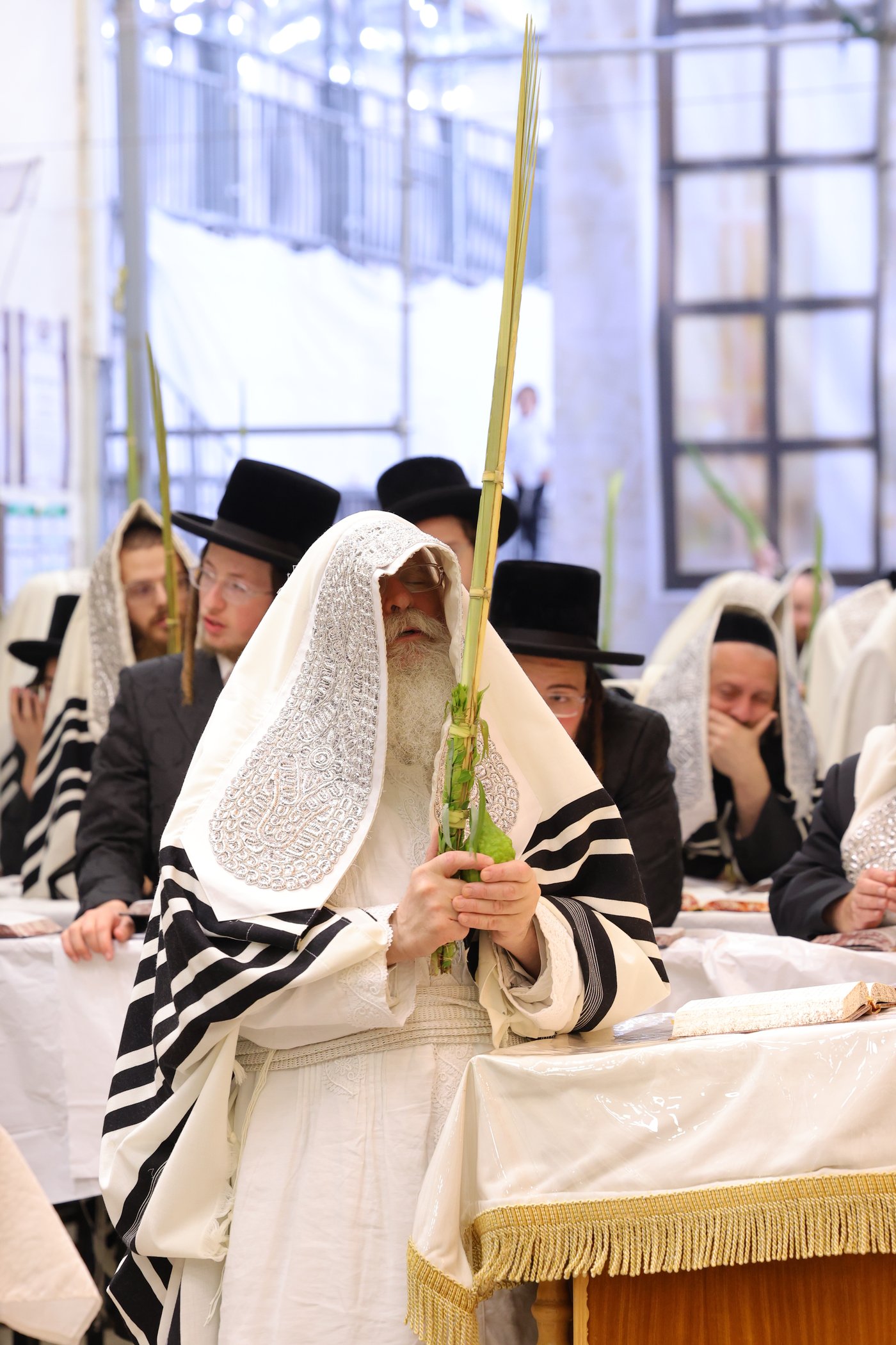 ירח האיתנים בחצר הקודש נדבורנה ירושלים | צילום: שימי פ.