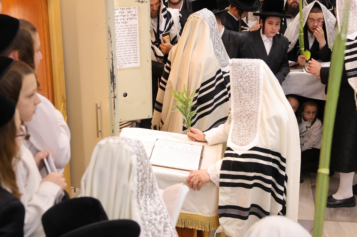 ירח האיתנים בחצר הקודש נדבורנה ירושלים | צילום: שימי פ.