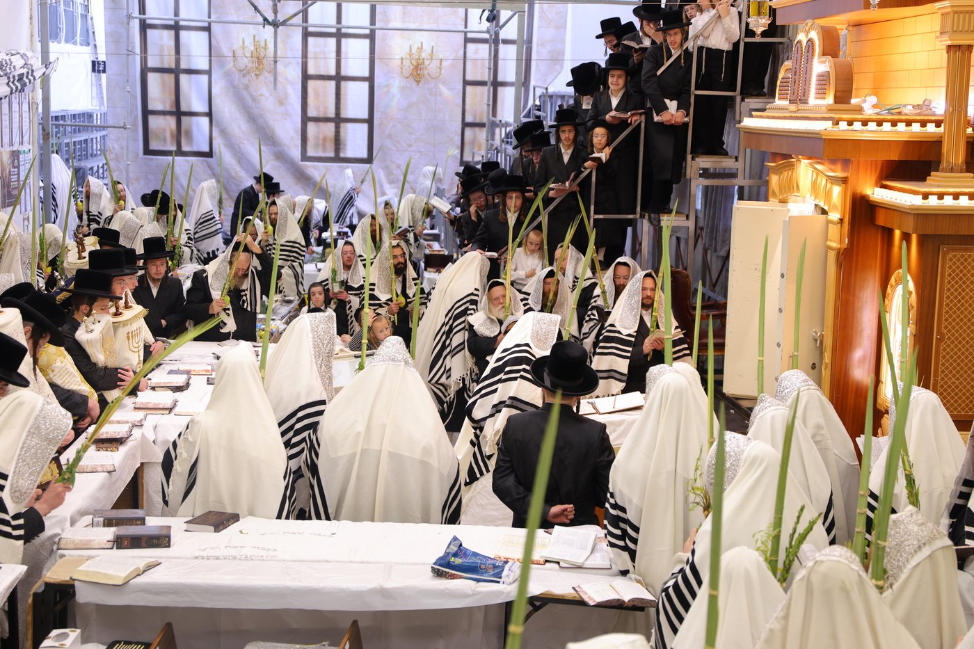 ירח האיתנים בחצר הקודש נדבורנה ירושלים | צילום: שימי פ.