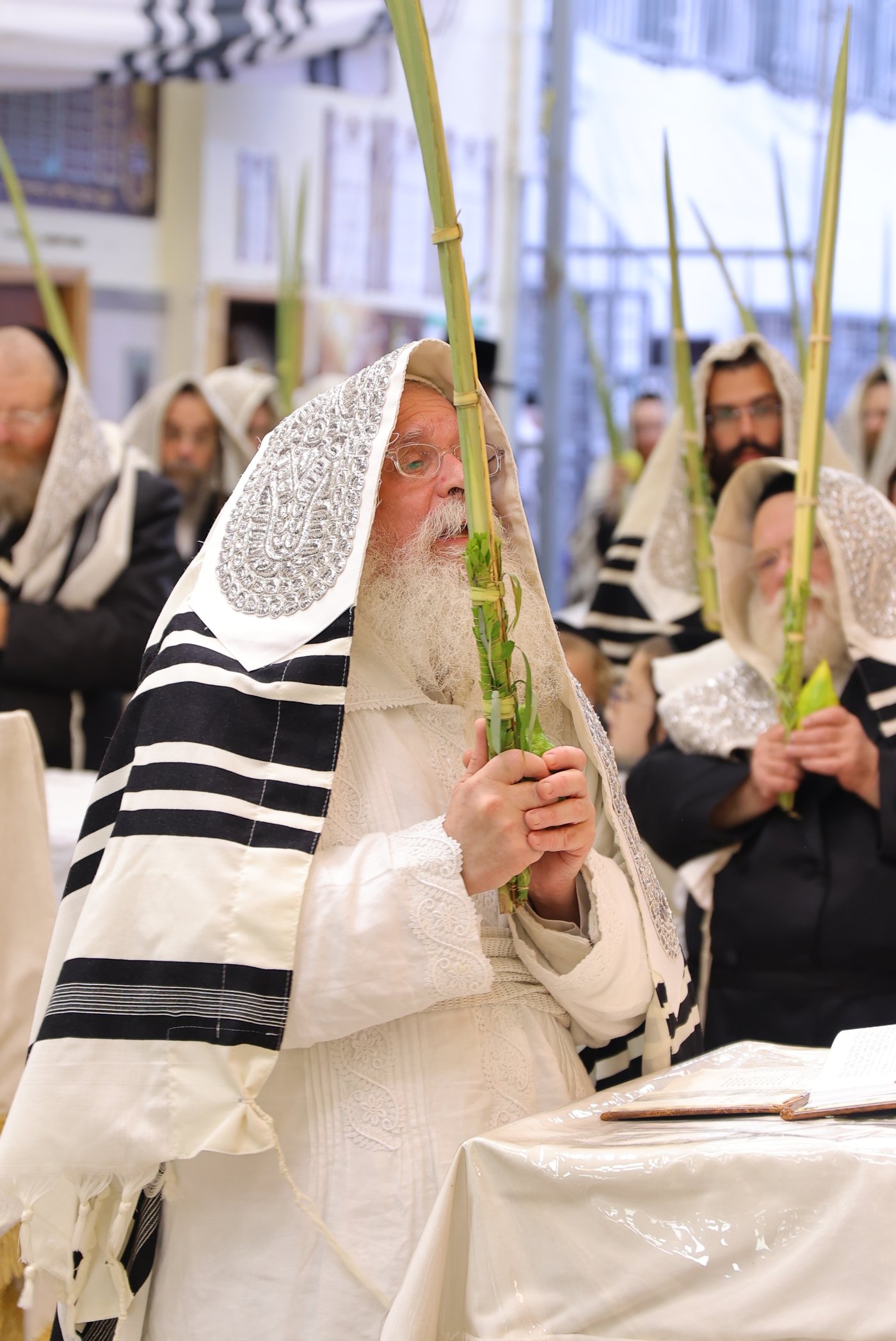 ירח האיתנים בחצר הקודש נדבורנה ירושלים | צילום: שימי פ.