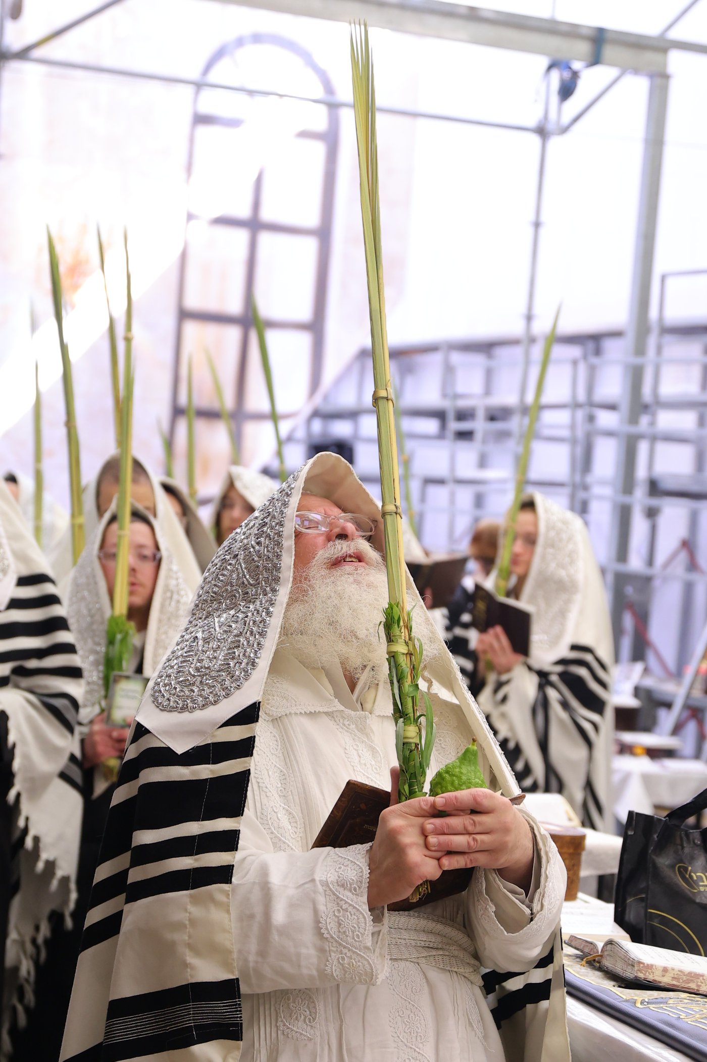 ירח האיתנים בחצר הקודש נדבורנה ירושלים | צילום: שימי פ.