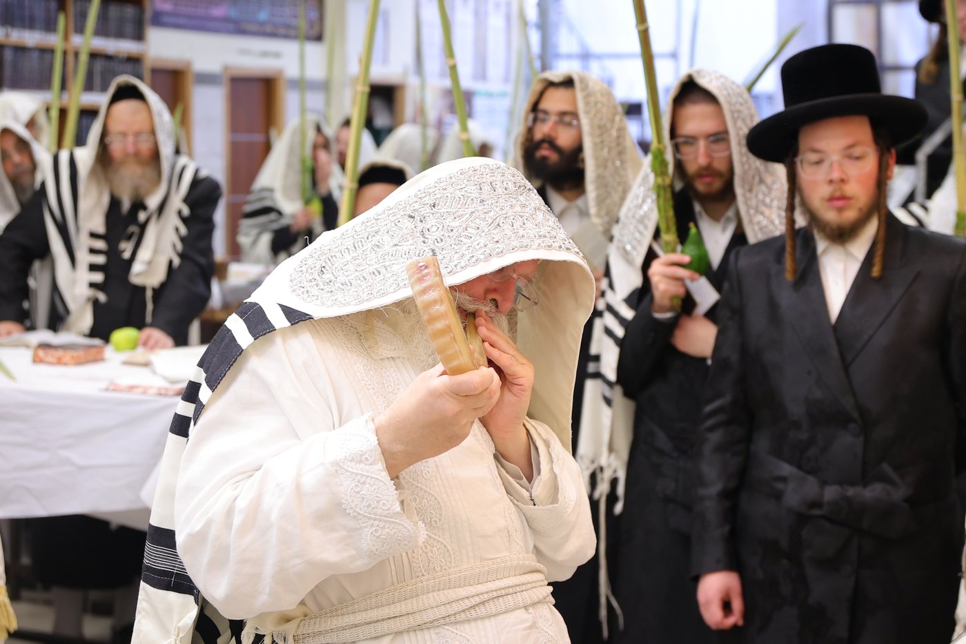 ירח האיתנים בחצר הקודש נדבורנה ירושלים | צילום: שימי פ.