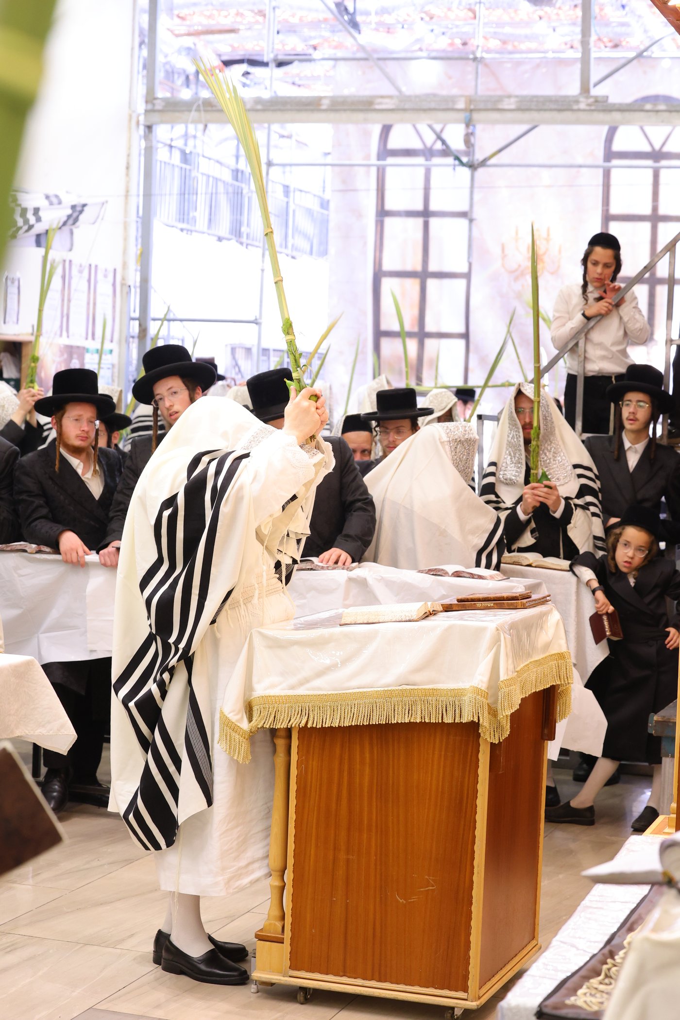 ירח האיתנים בחצר הקודש נדבורנה ירושלים | צילום: שימי פ.