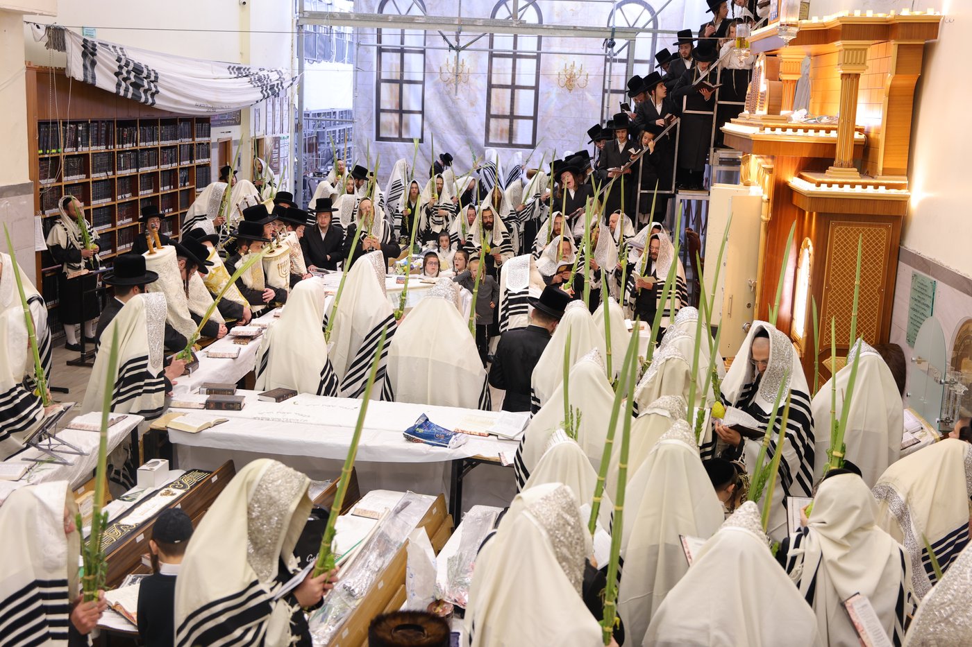 ירח האיתנים בחצר הקודש נדבורנה ירושלים | צילום: שימי פ.