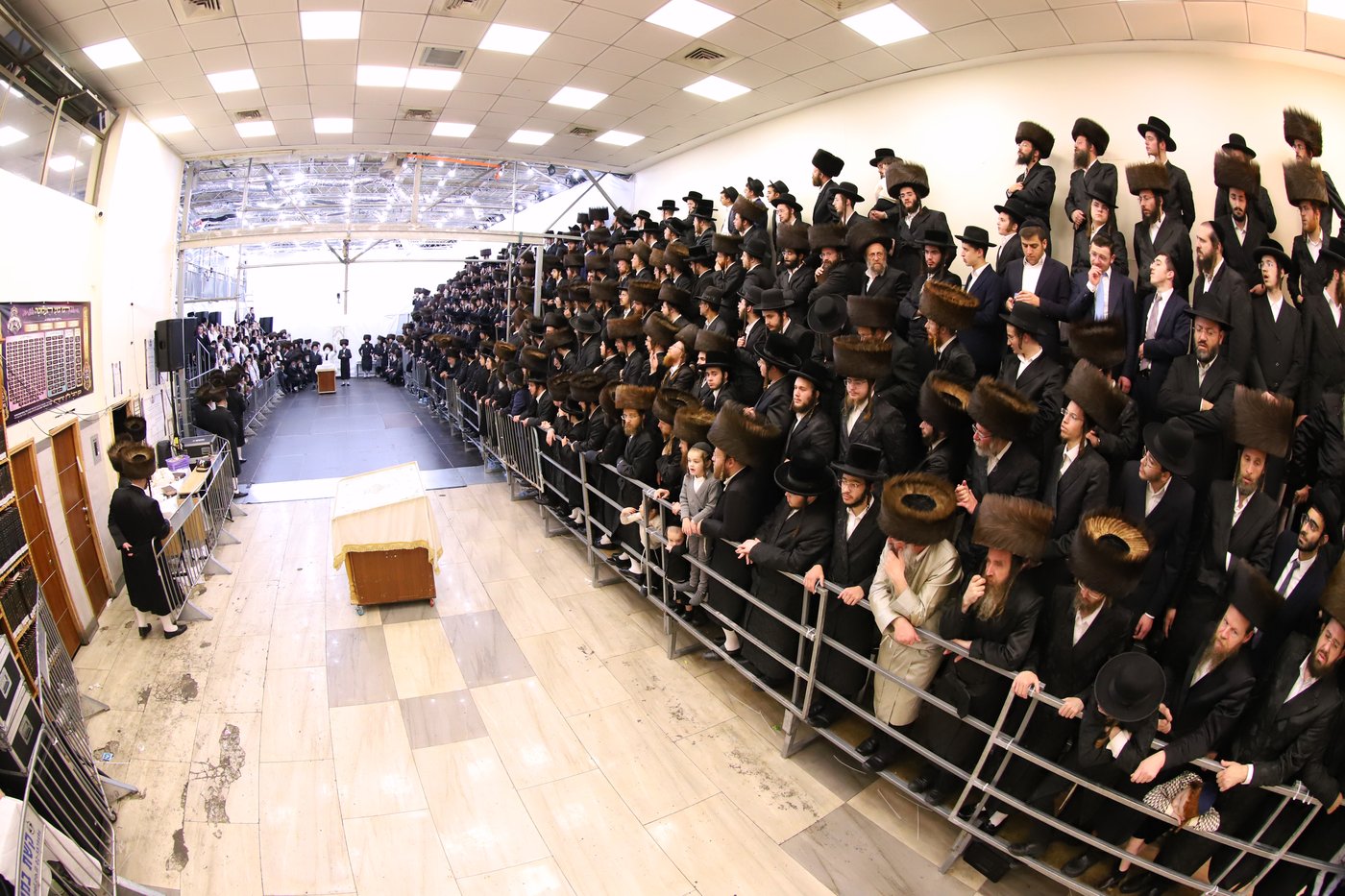 ירח האיתנים בחצר הקודש נדבורנה ירושלים | צילום: שימי פ.