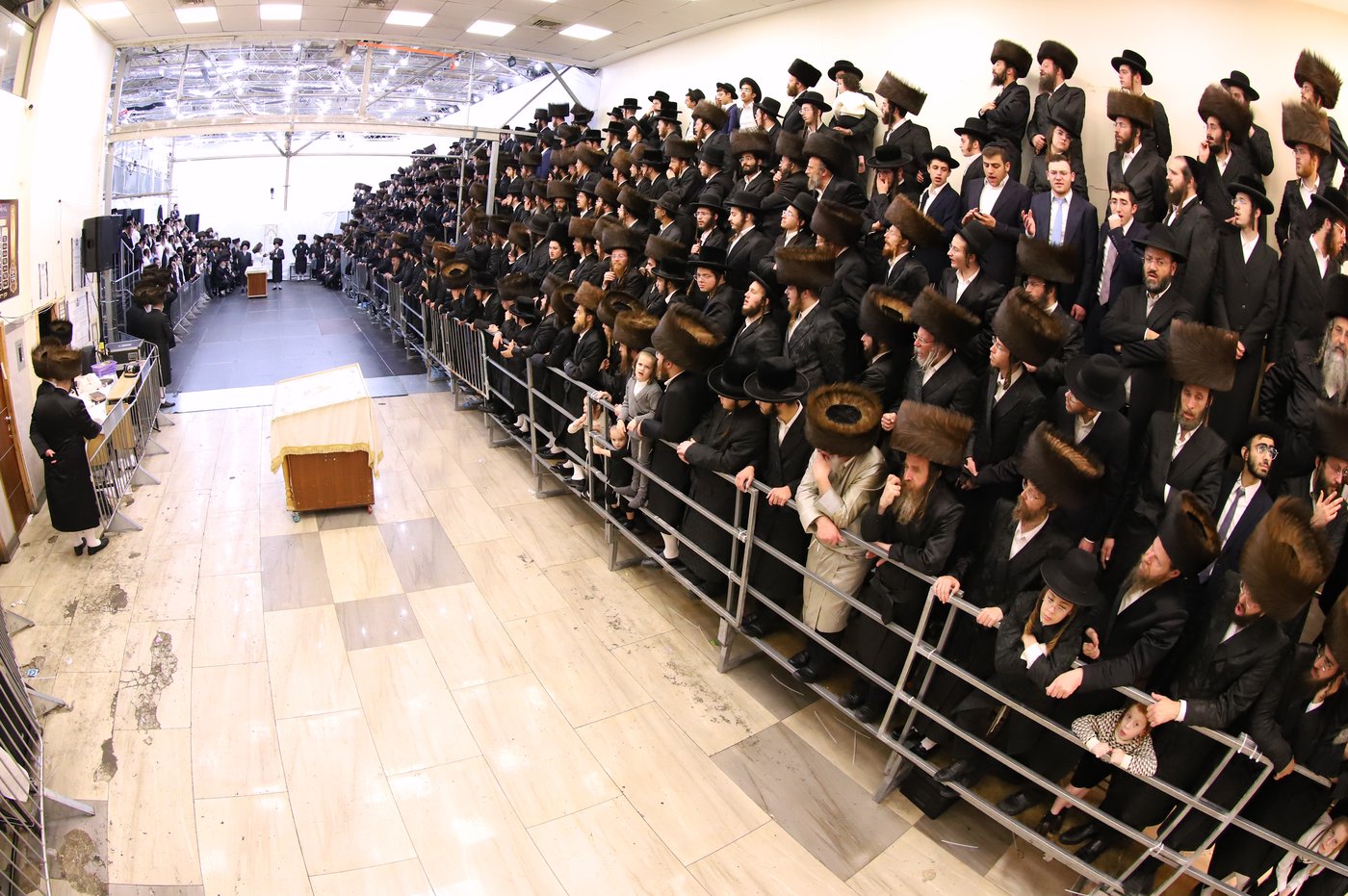 ירח האיתנים בחצר הקודש נדבורנה ירושלים | צילום: שימי פ.