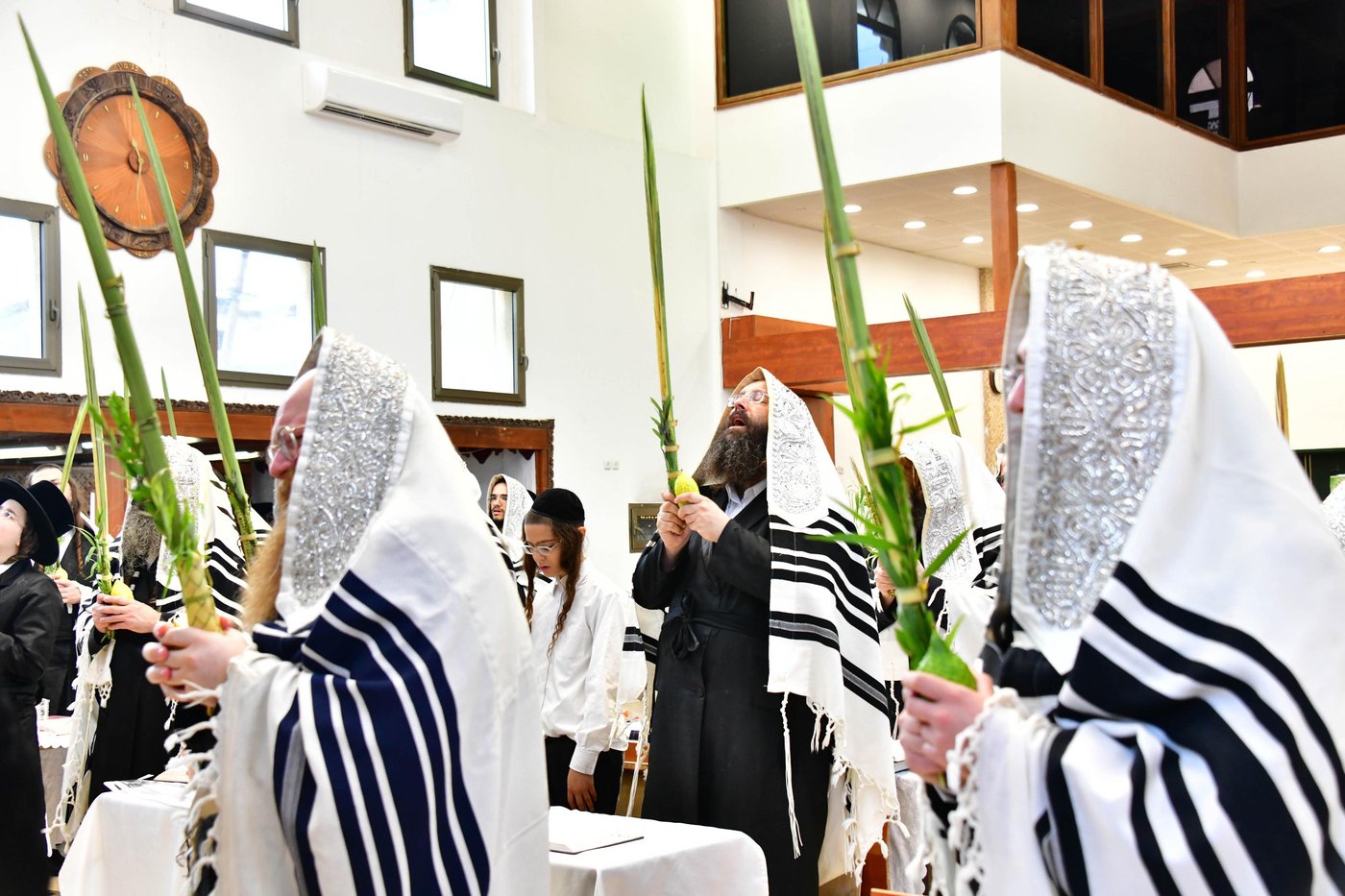 האדמו"ר מפרמישלאן שליט"א בנענועים | צילום: שוקי לרר