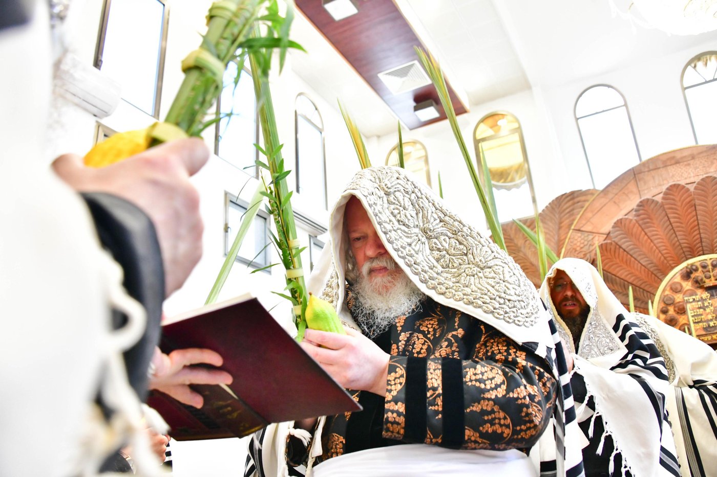 האדמו"ר מפרמישלאן שליט"א בנענועים | צילום: שוקי לרר