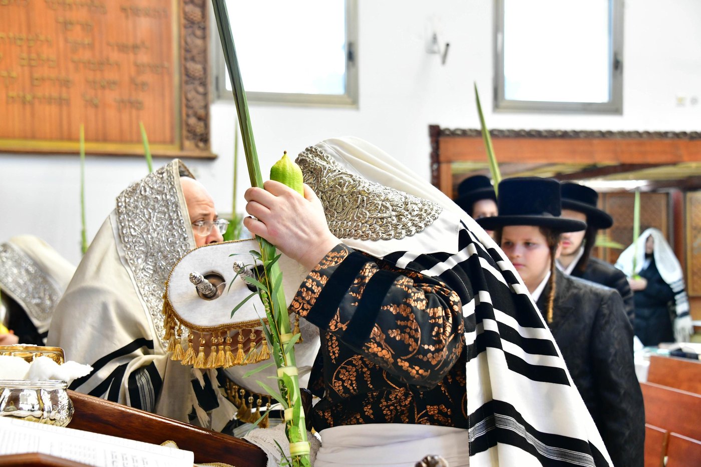 האדמו"ר מפרמישלאן שליט"א בנענועים | צילום: שוקי לרר
