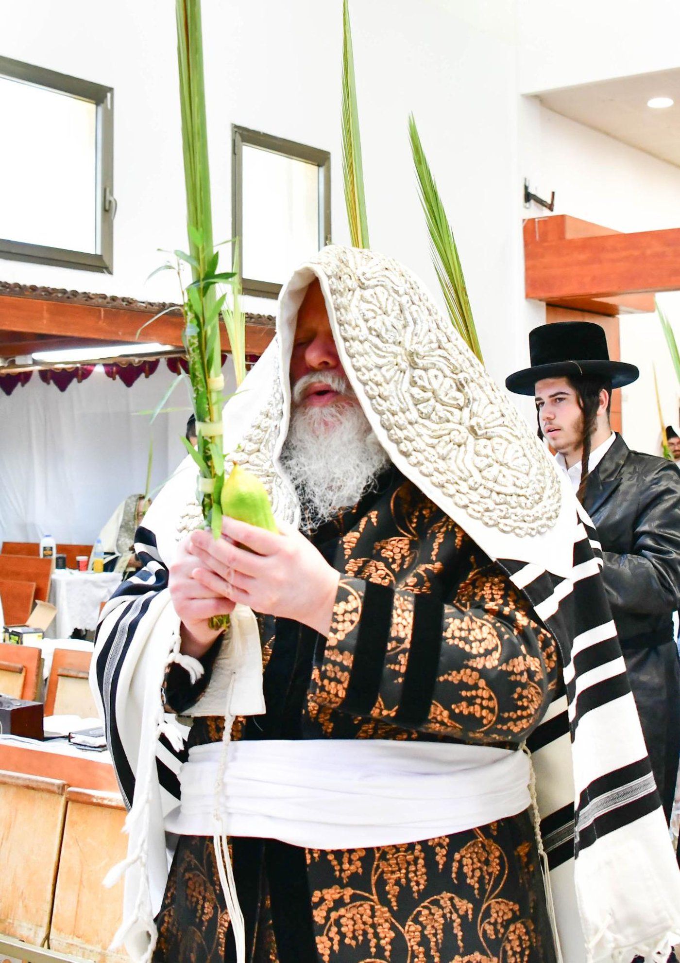 האדמו"ר מפרמישלאן שליט"א בנענועים | צילום: שוקי לרר