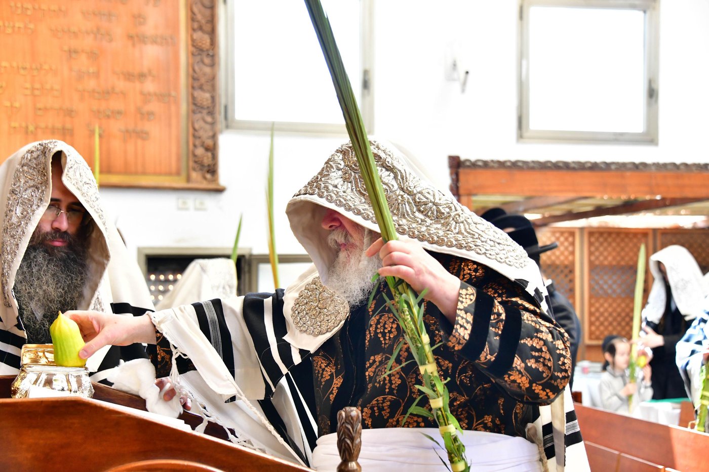 האדמו"ר מפרמישלאן שליט"א בנענועים | צילום: שוקי לרר