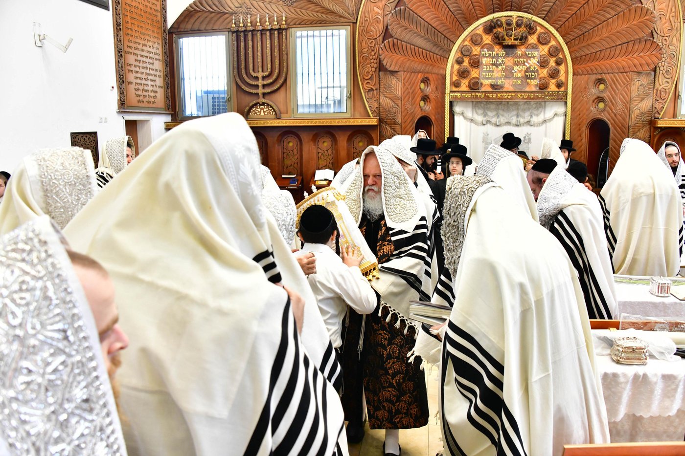 האדמו"ר מפרמישלאן שליט"א בנענועים | צילום: שוקי לרר