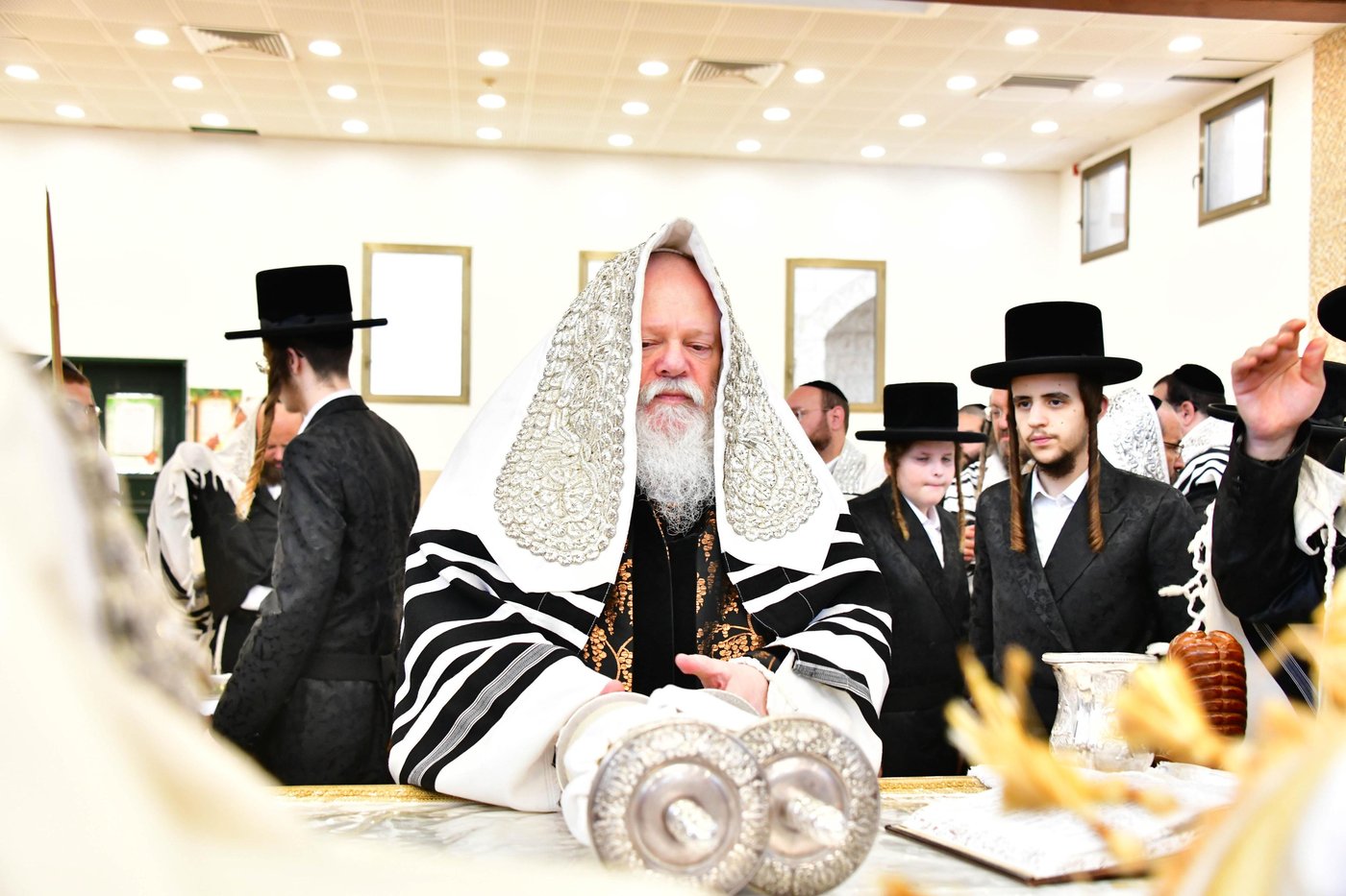 האדמו"ר מפרמישלאן שליט"א בנענועים | צילום: שוקי לרר