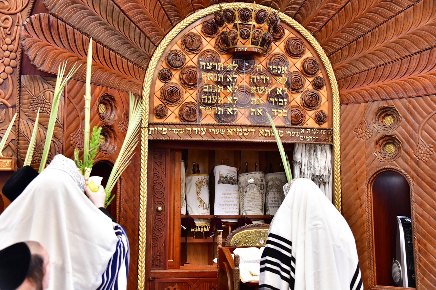 האדמו"ר מפרמישלאן שליט"א בנענועים | צילום: שוקי לרר