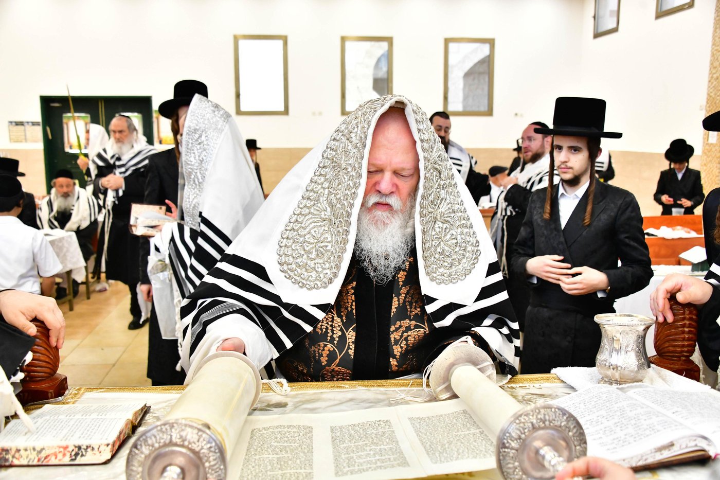 האדמו"ר מפרמישלאן שליט"א בנענועים | צילום: שוקי לרר