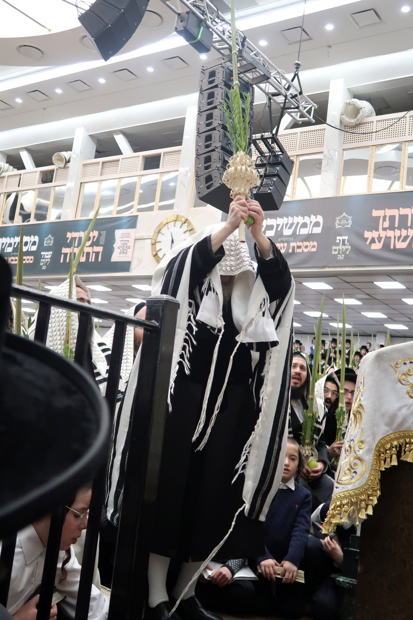 האדמו"ר מסאטמר שליט"א בעבודת הנענועים | צילום: בחצרות סאטמאר
