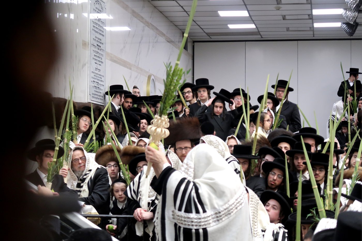האדמו"ר מסאטמר שליט"א בעבודת הנענועים | צילום: בחצרות סאטמאר